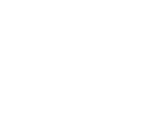 stonewall_diversitychampion_logo_white (1)-eps_340px.png